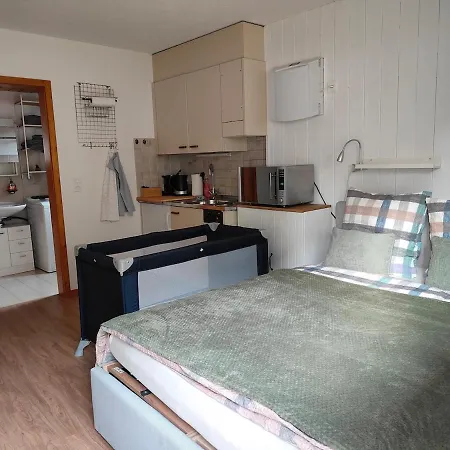 דירה Oeschinensee 7min / Interlaken 20min / Parkplatz Kandergrund