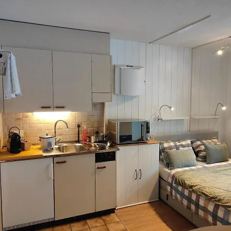 Lägenhet Oeschinensee 7min / Interlaken 20min / Parkplatz