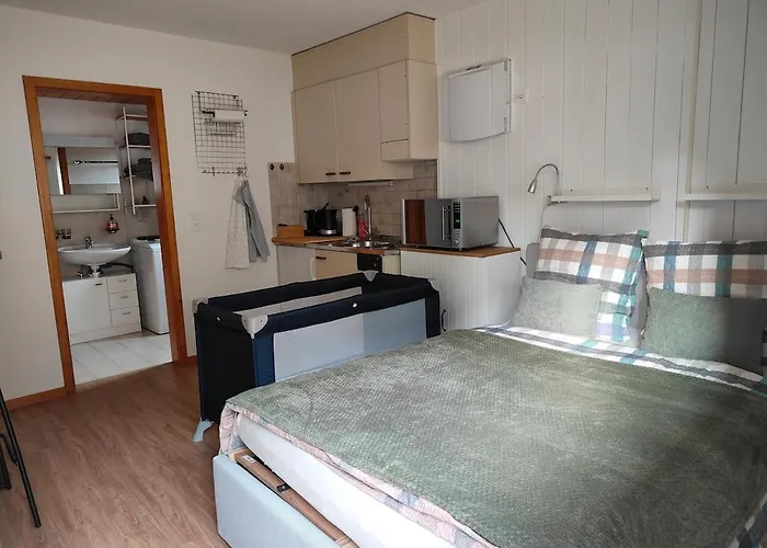 Appartement Oeschinensee 7min / Interlaken 20min / Parkplatz Kandergrund